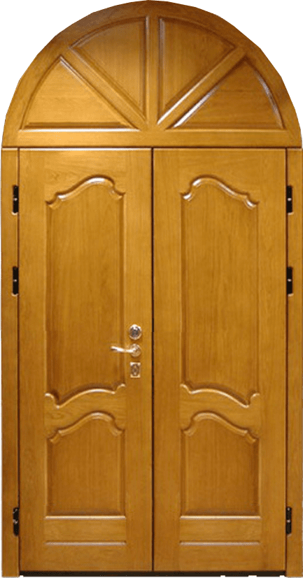 NSTD-49 - Дверь нестандартного размера