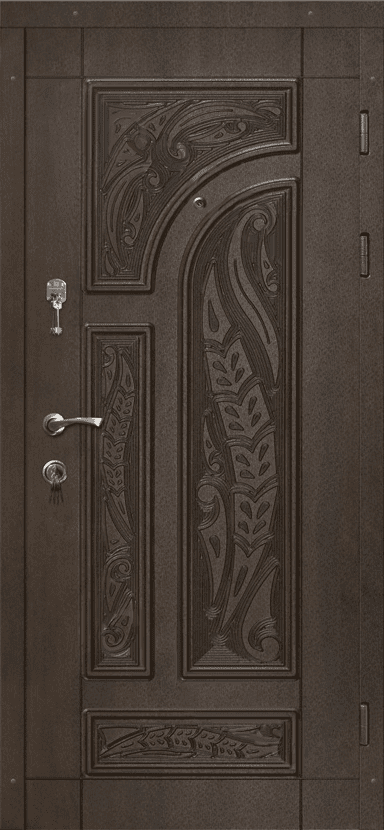 ZAR-69 - Дверь для загородного дома